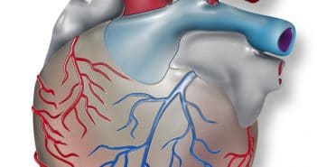 Objectifs en prévention primaire chez un patient au risque cardiovasculaire > 10 % à 5 ans