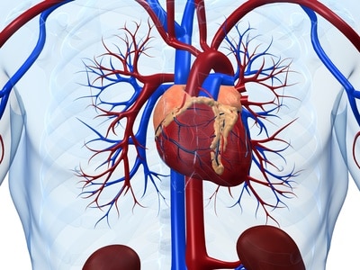 Traitement De L Insuffisance Cardiaque Aigue Realites Cardiologiques