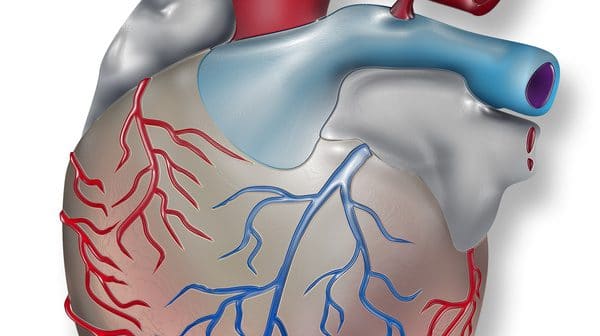 Anti-TNF alpha et risque cardiovasculaire ? - Réalités Cardiologiques