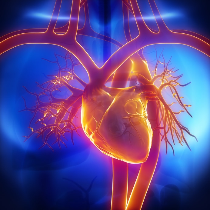 Dilatation d'une valve cardiaque dans le laboratoire de cathétérisme  cardiaque