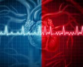 Fibrillation atriale : comment les cardiologues peuvent protéger le rein par le choix du traitement anticoagulant