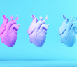 Le Collège National des Cardiologues des Hôpitaux (CNCH) d’hier à demain