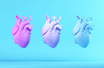 Le Collège National des Cardiologues des Hôpitaux (CNCH) d’hier à demain
