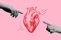 Le Collège national des cardiologues français : le cœur de notre formation