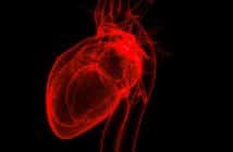 Traitement par clip mitral dans l'insuffisance cardiaque : où en est-on en 2025 ?