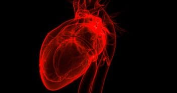Traitement par clip mitral dans l’insuffisance cardiaque : où en est-on en 2025 ? Traitement par clip mitral dans l'insuffisance cardiaque : où en est-on en 2025 ?