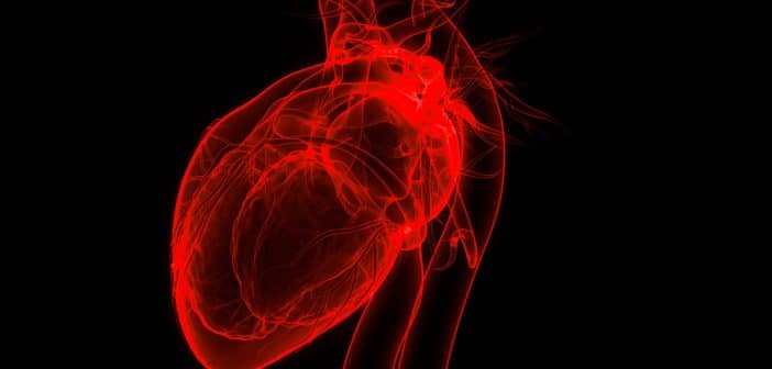 Traitement par clip mitral dans l'insuffisance cardiaque : où en est-on en 2025 ?