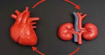Maladie rénale chronique et maladies cardiovasculaires
