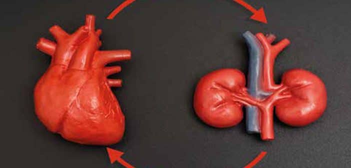 Maladie rénale chronique et maladies cardiovasculaires
